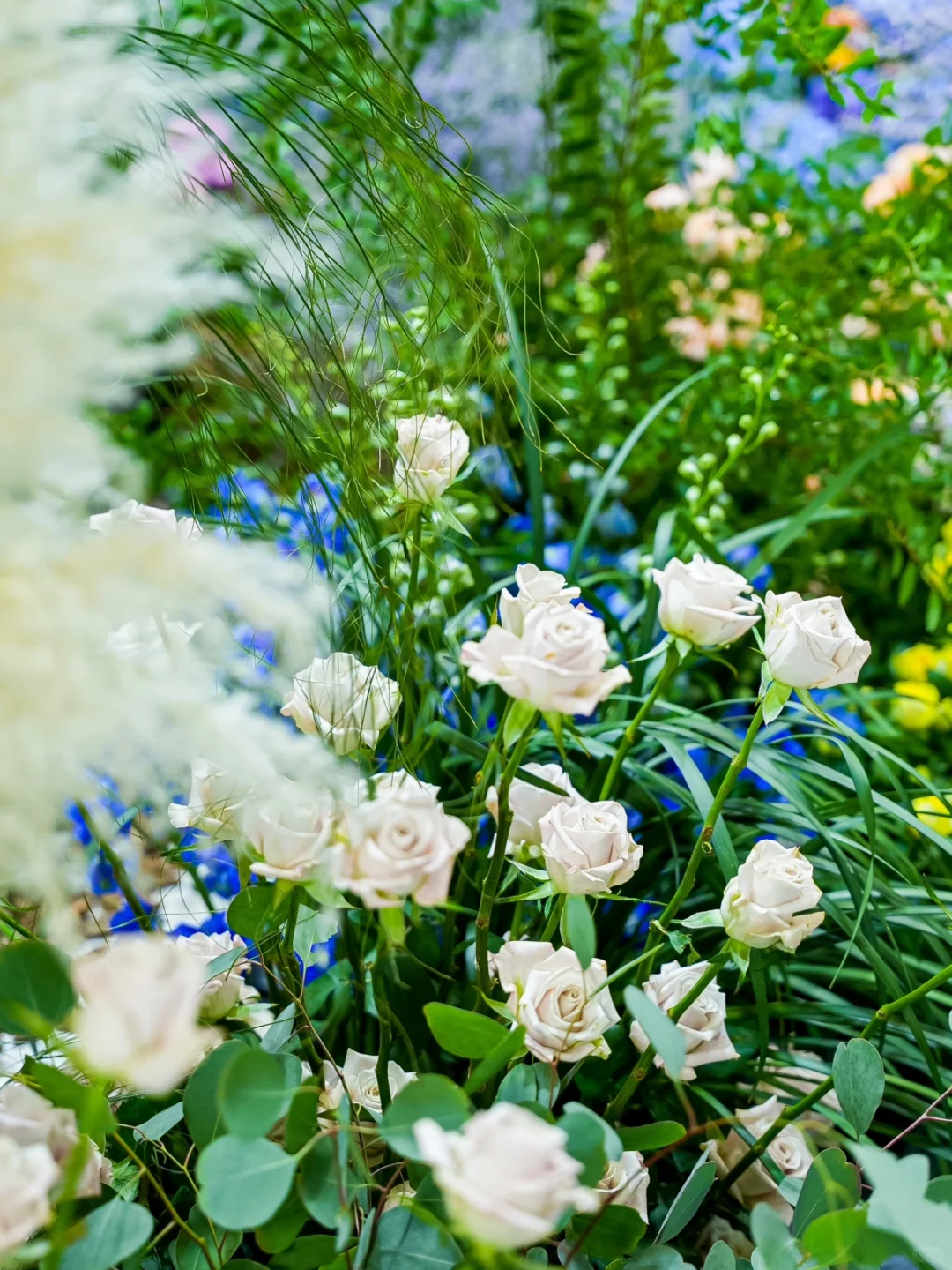 邀你一起去云南看花展?预登记火热报名中?