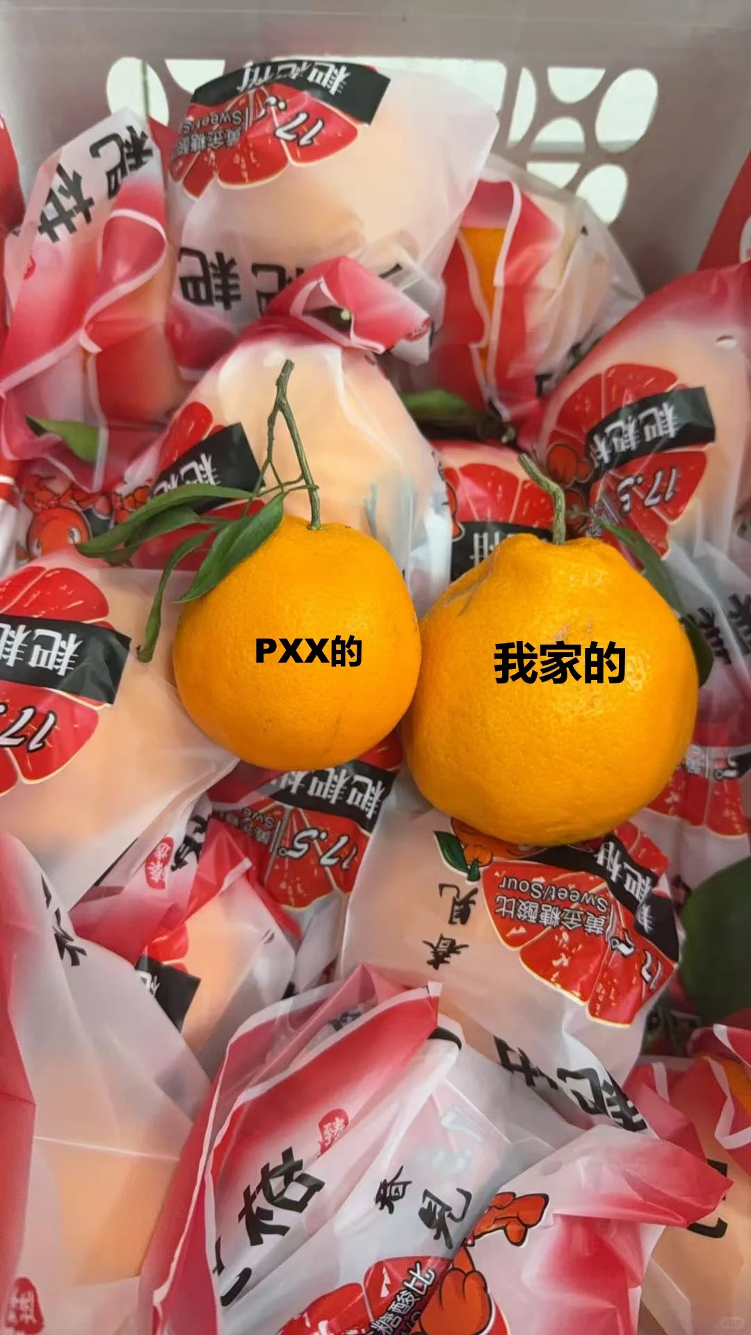 北京水果批发群（天津、河北也发！）