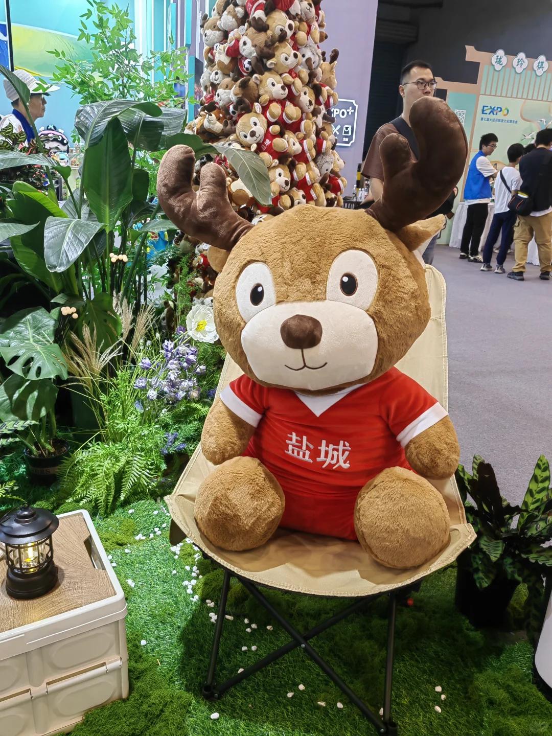 苏州第七届大运河文化博览会收获满满快乐