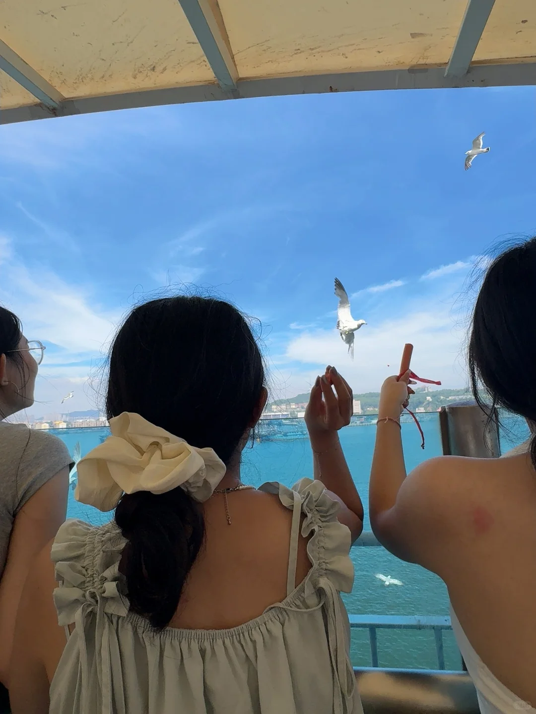 爱操心的她爱吃的她爱喝酒的她