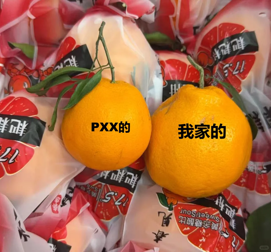 北京水果批发群（天津、河北也发！）