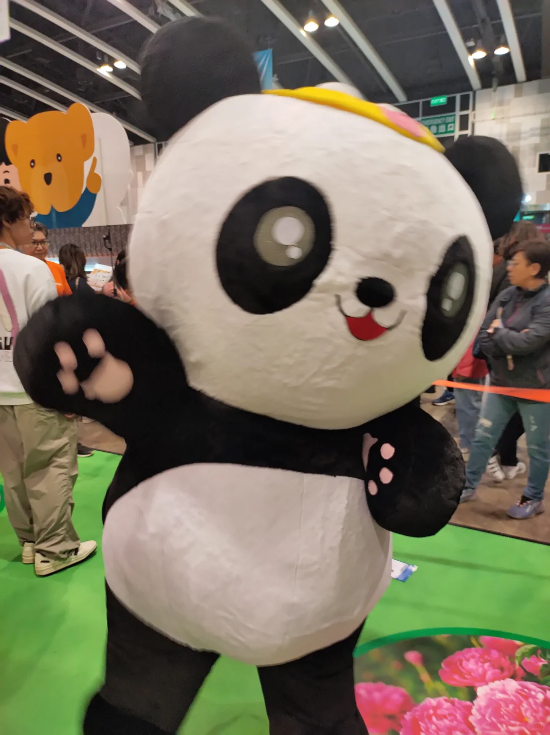 2025年亚洲素食展的启发