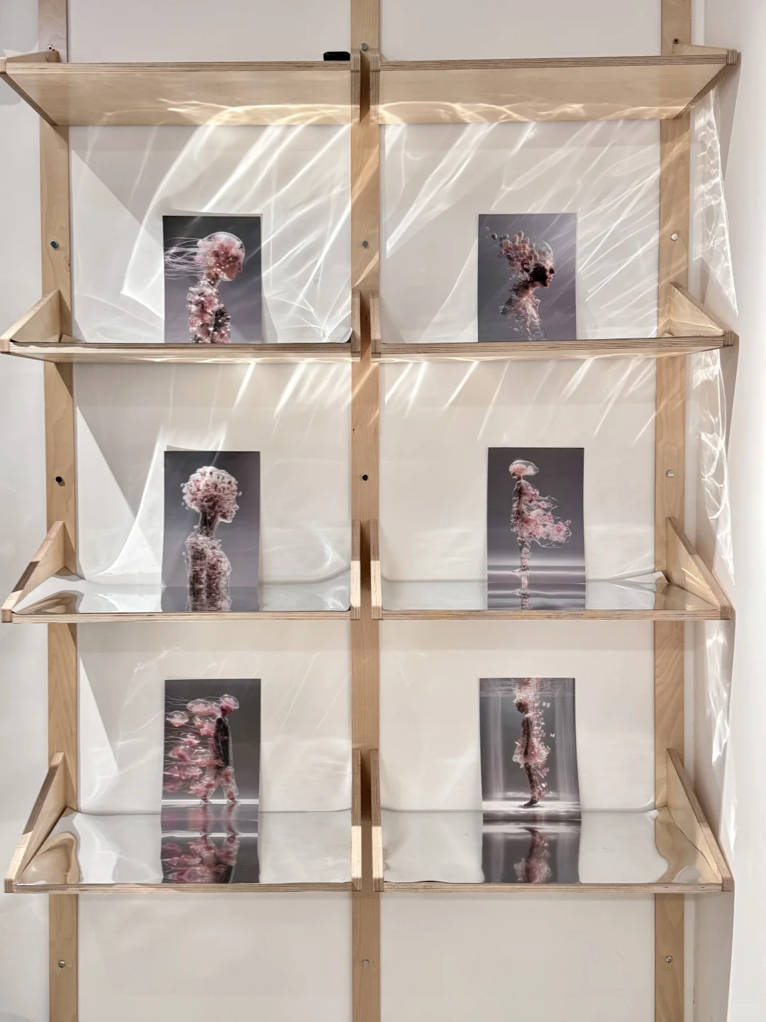 厦门新展 | 「让万物穿过我」?