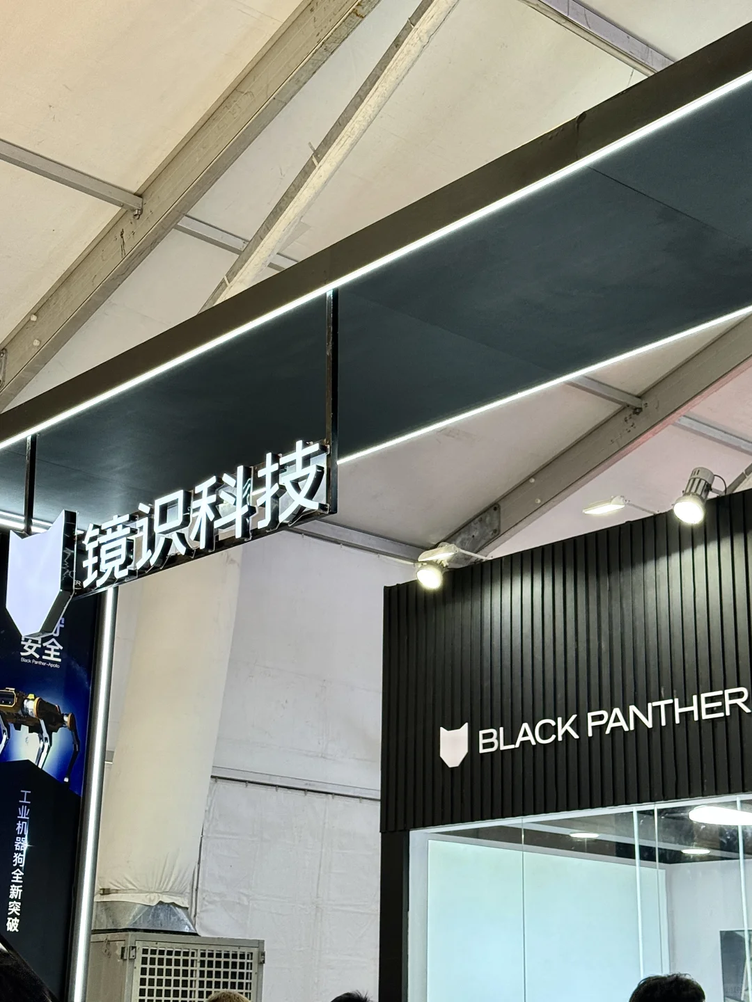 北京遛娃|在世界机器人大会感受科技力量