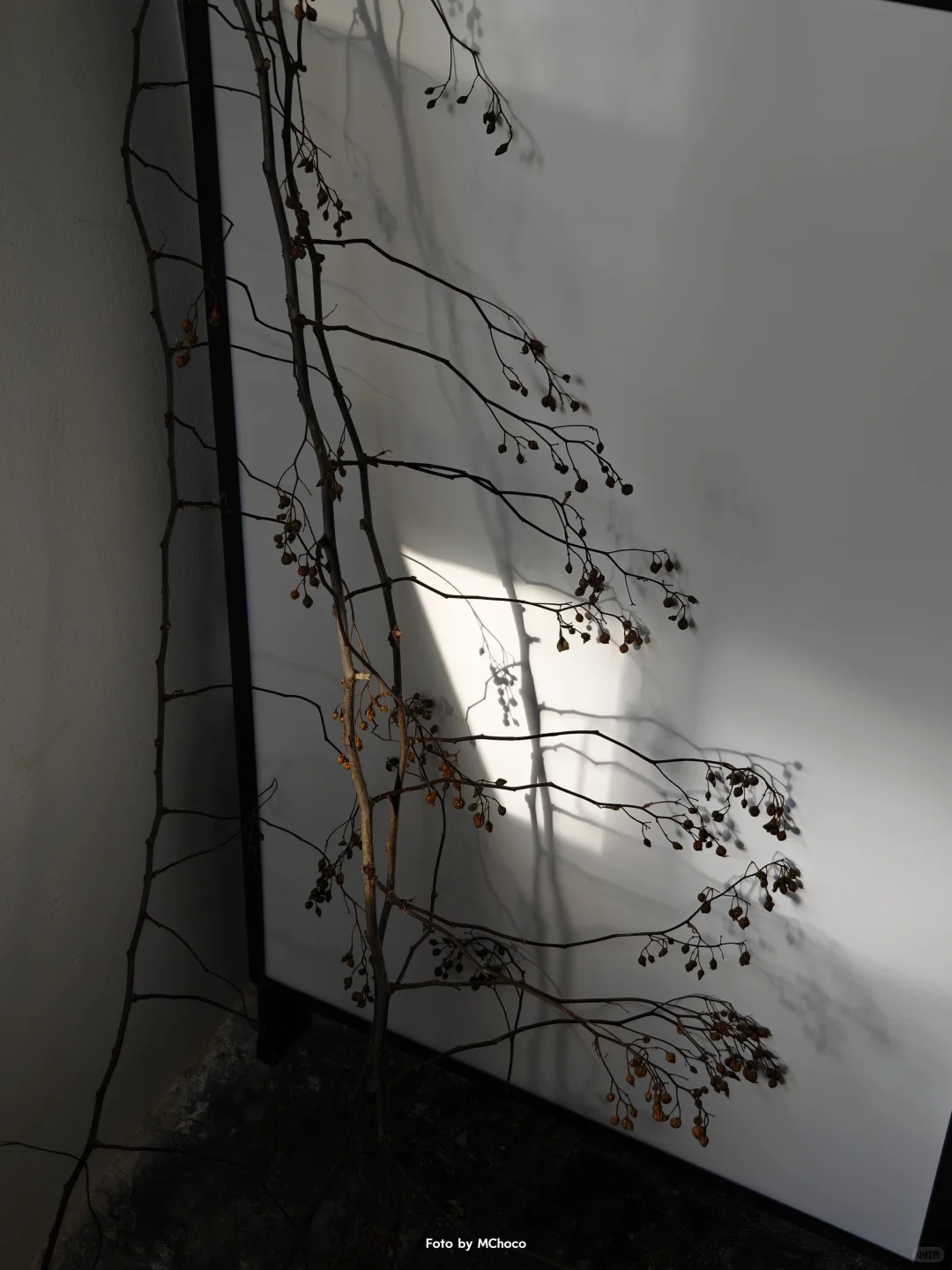 深圳免费新展｜日常器物的美学叙事...