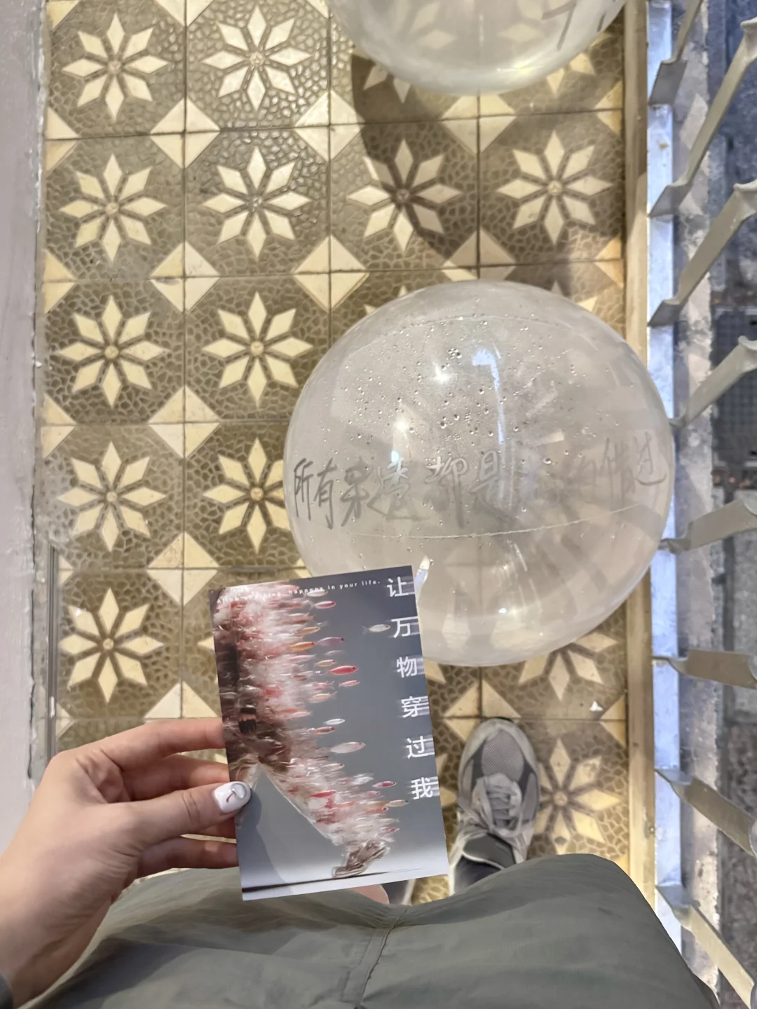 厦门新展 | 「让万物穿过我」?