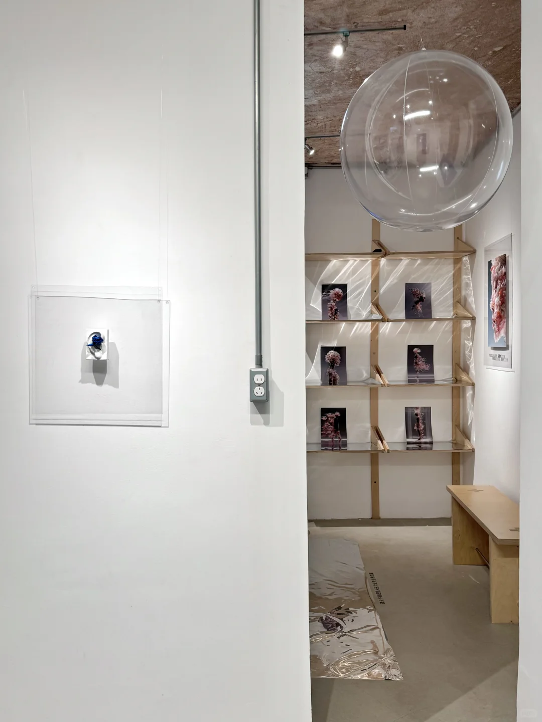 厦门新展 | 「让万物穿过我」?