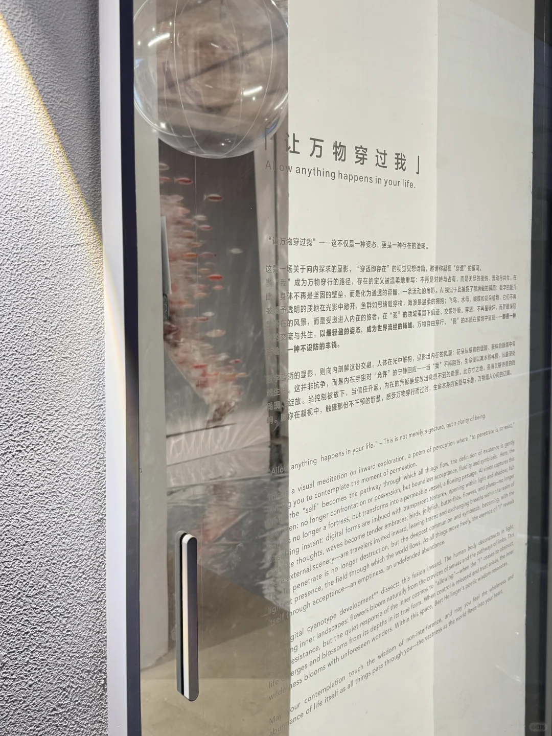 厦门新展 | 「让万物穿过我」?