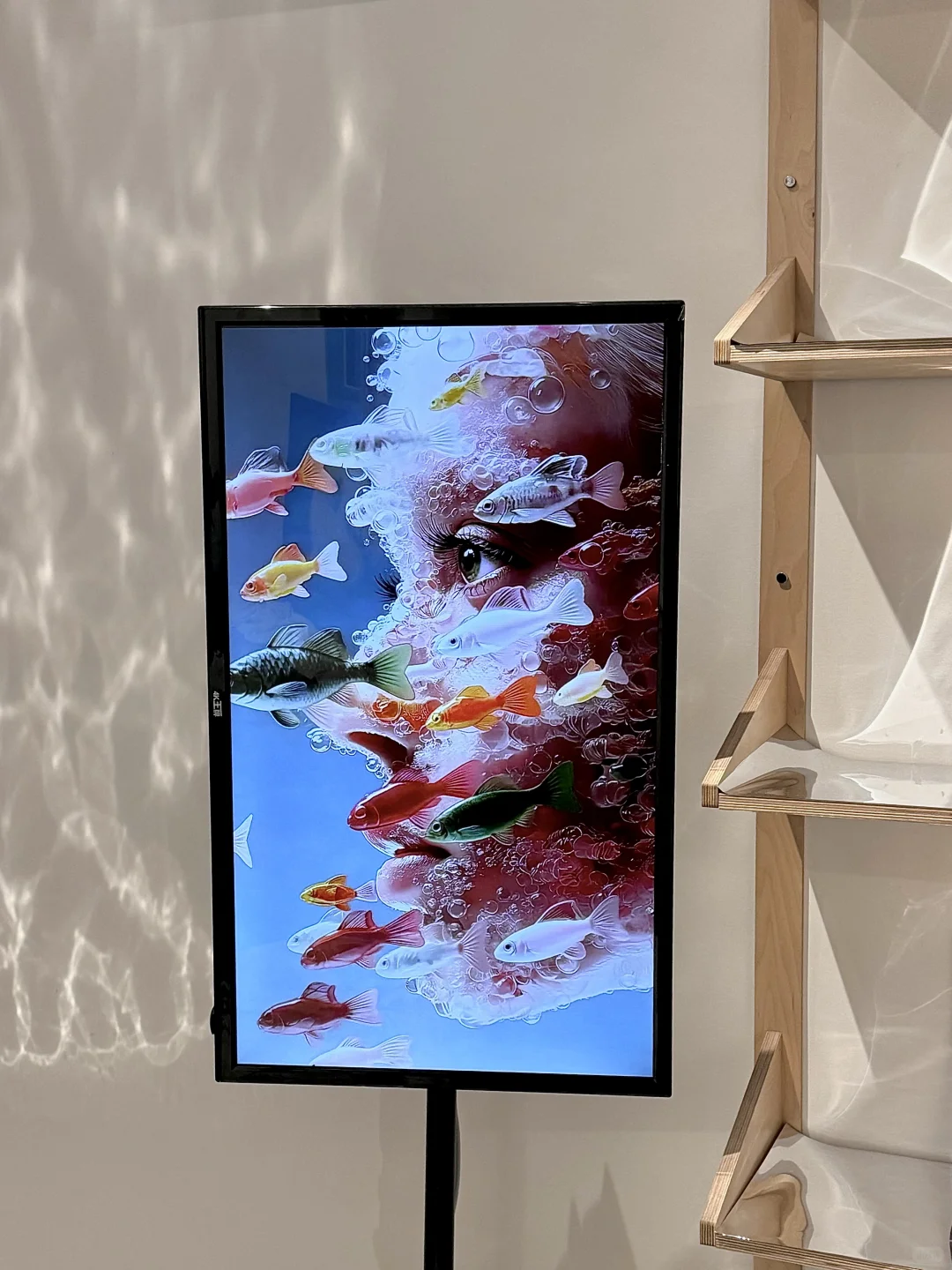 厦门新展 | 「让万物穿过我」?