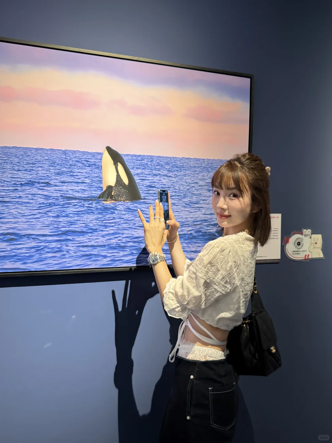 石家庄看展 |见世面 见世界的每一面??