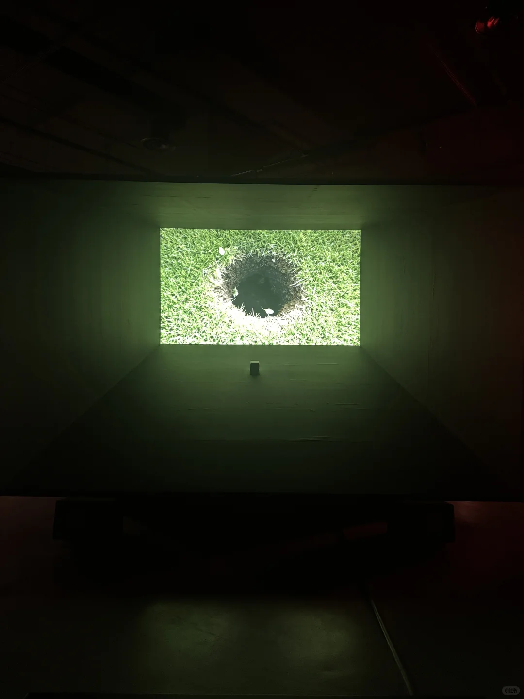 ??SAM新展｜梦想世界的奇幻视角