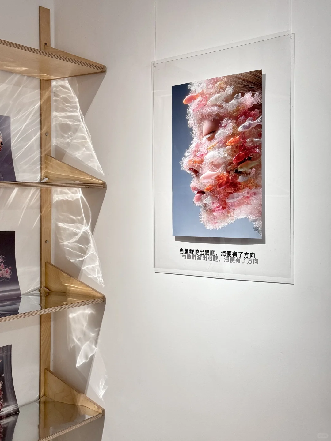 厦门新展 | 「让万物穿过我」?