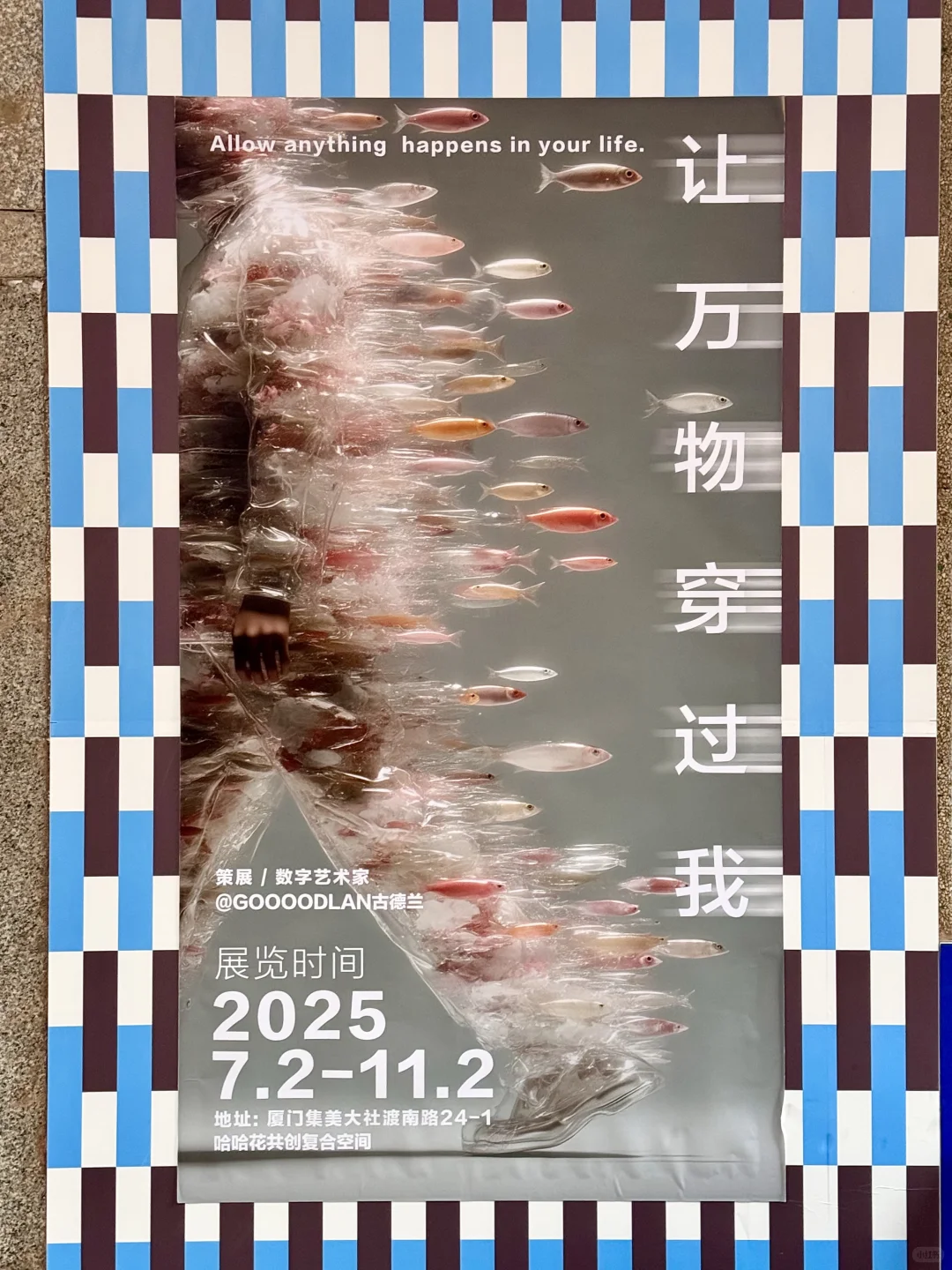 厦门新展 | 「让万物穿过我」?