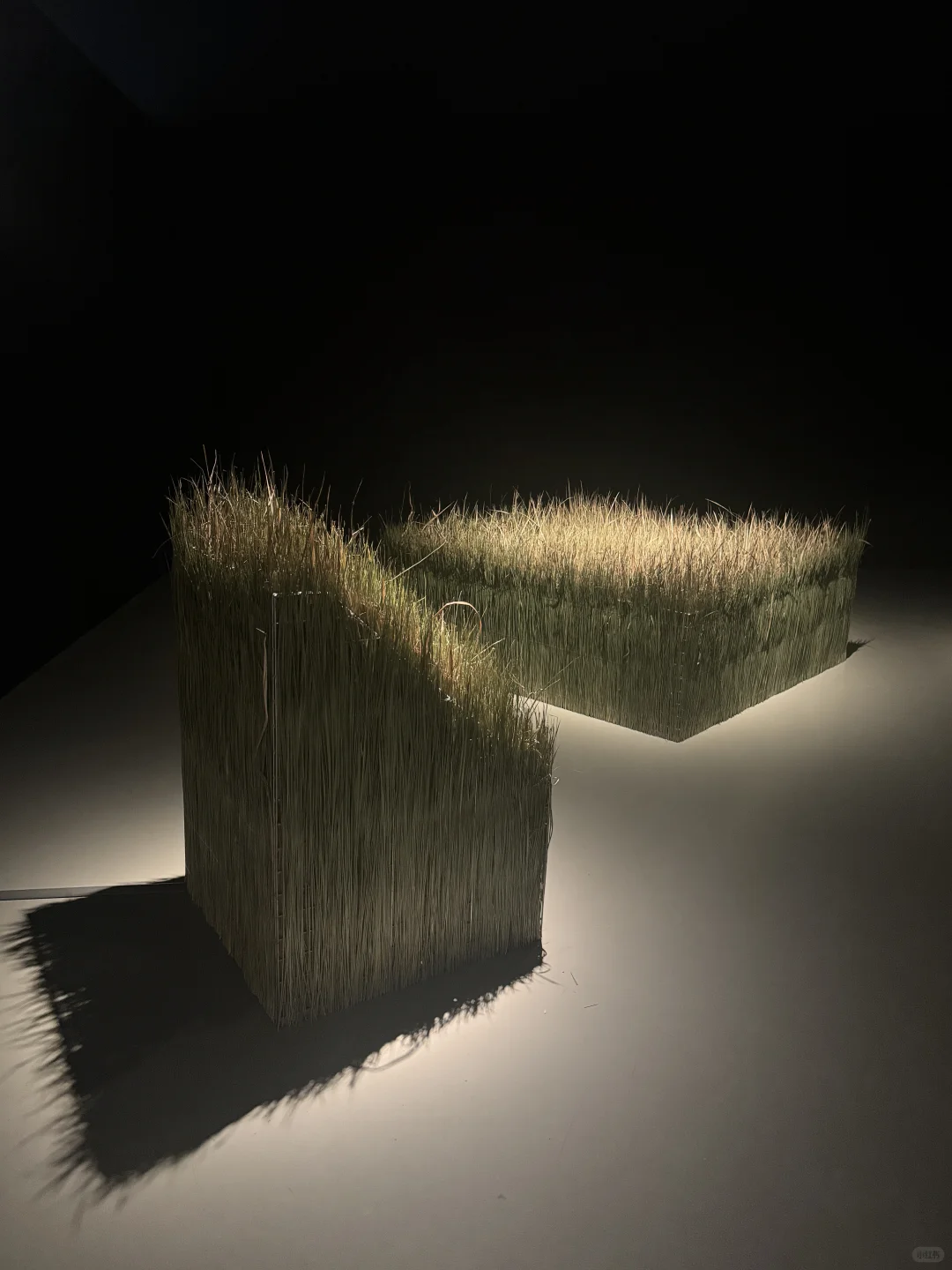 ??SAM新展｜梦想世界的奇幻视角