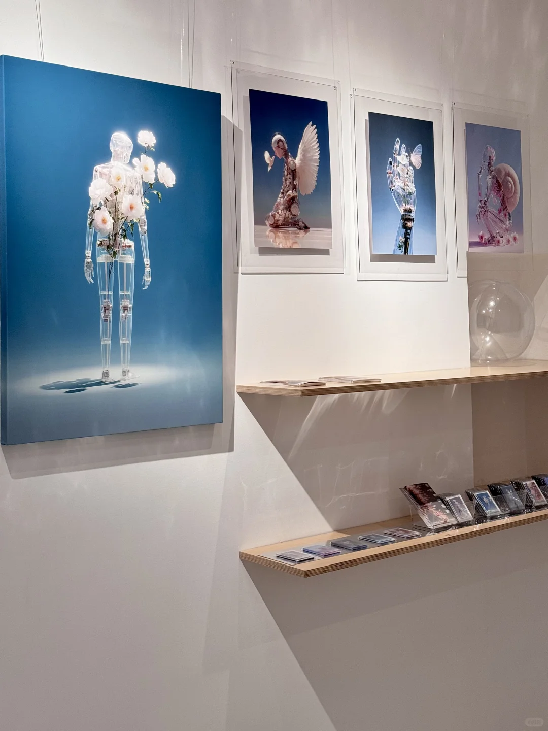 厦门新展 | 「让万物穿过我」?
