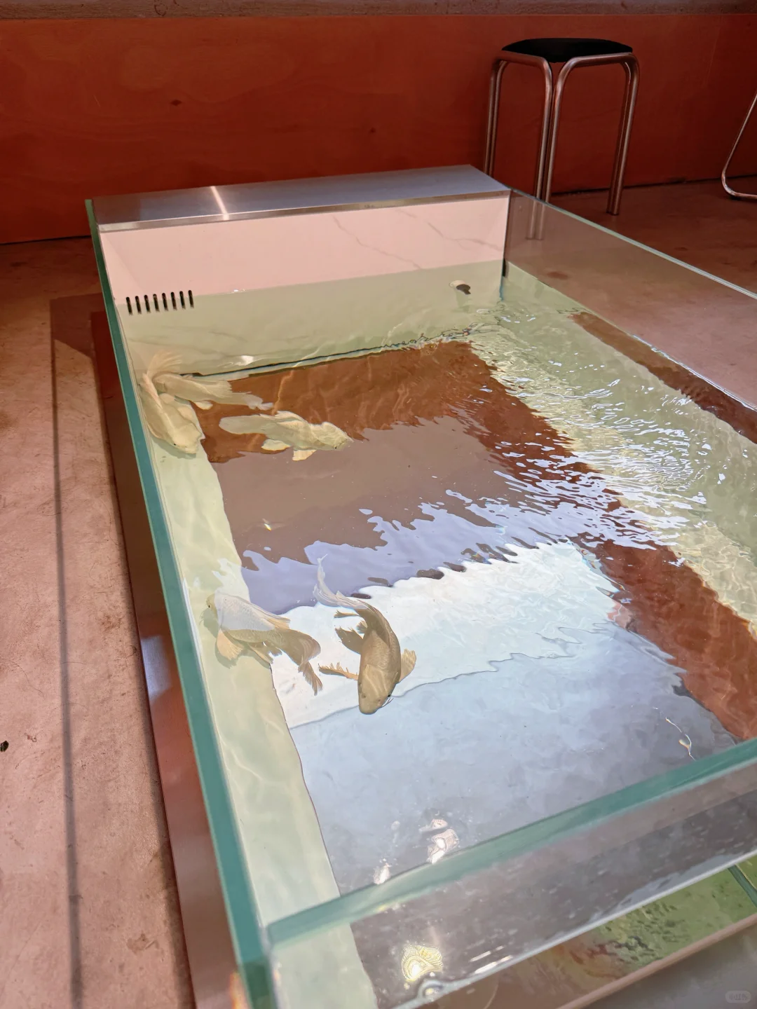 经济法考试结束后的那个下午