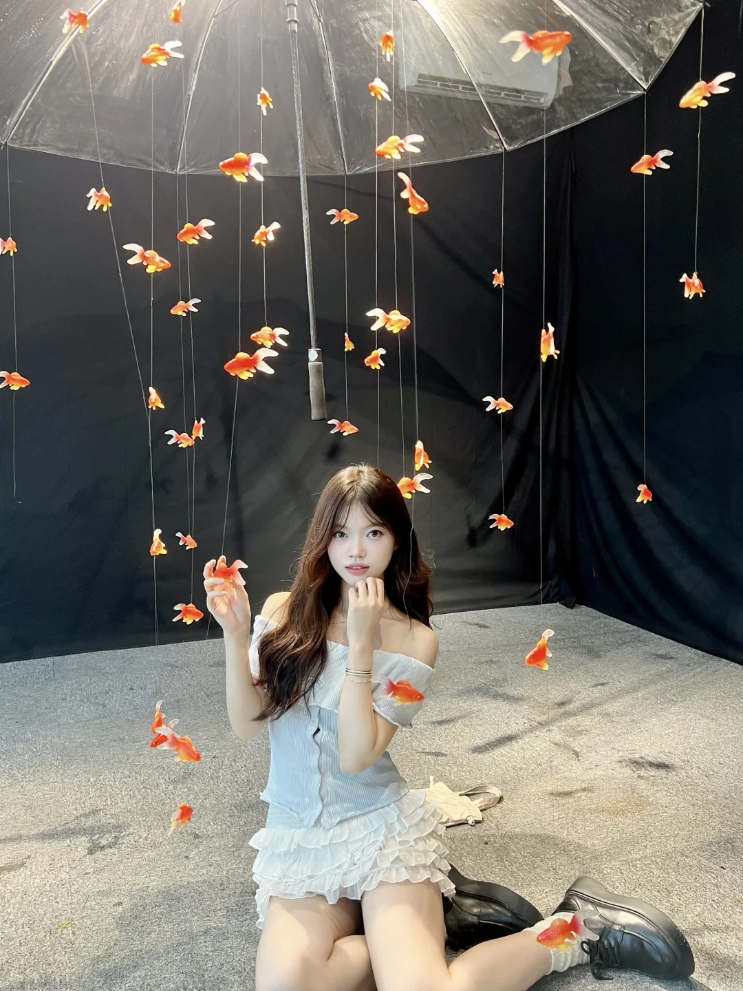 广州新展｜坠入金鱼梦境꙳⊹? ??