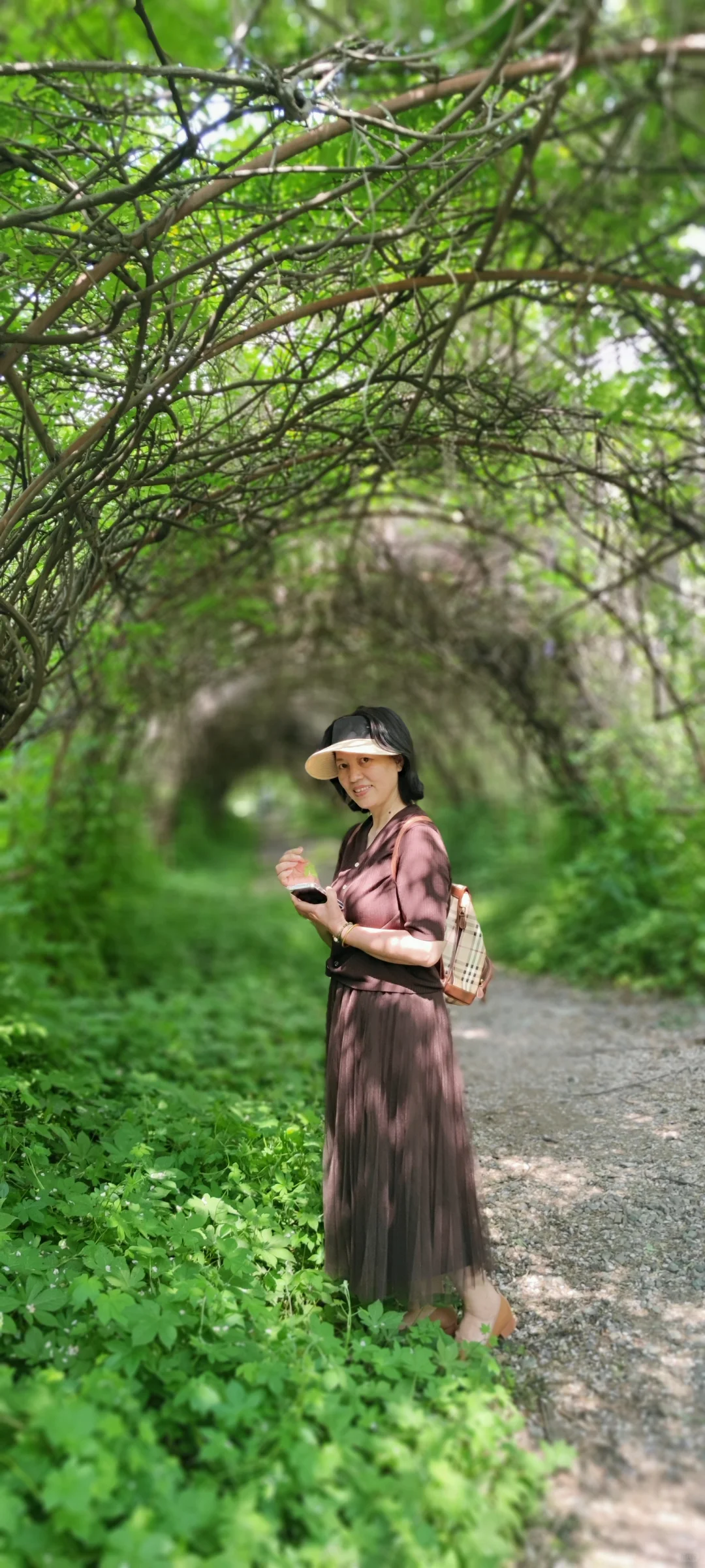 一个人走过的五年