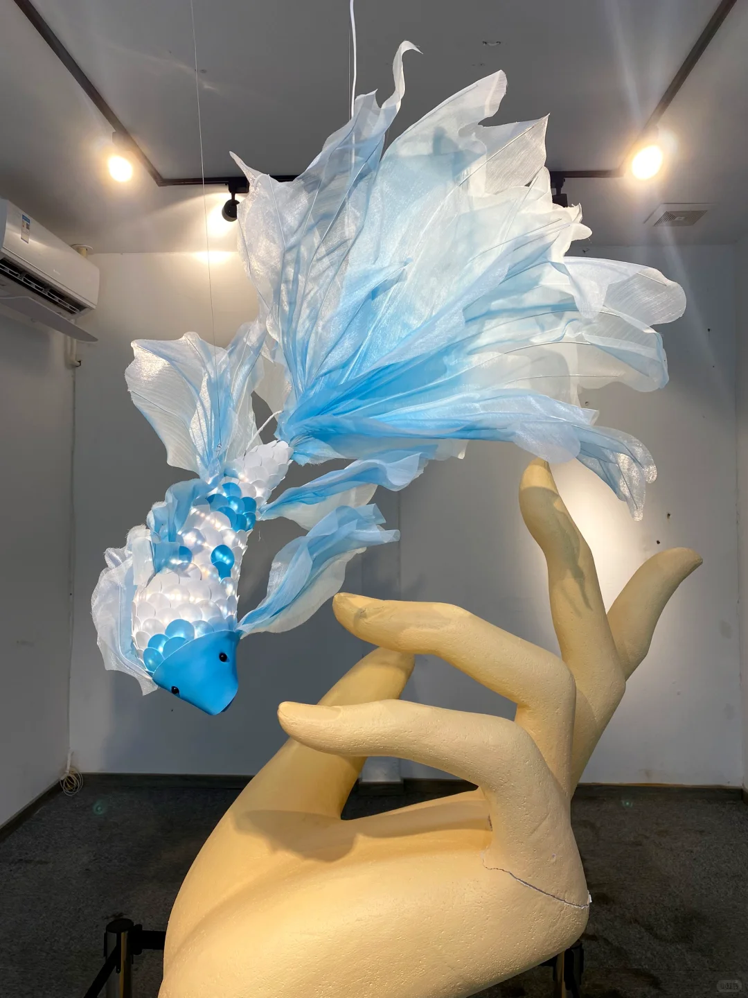 ?广州新展～好梦幻坠入鱼里的世界展? ༠°