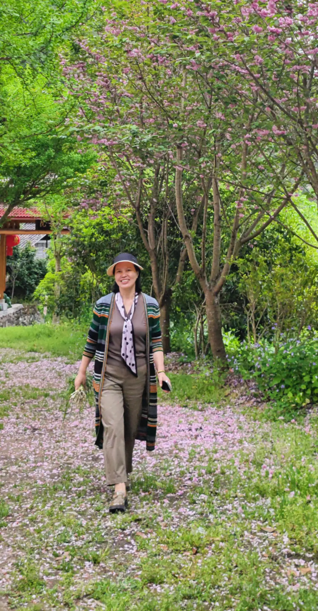 一个人走过的五年