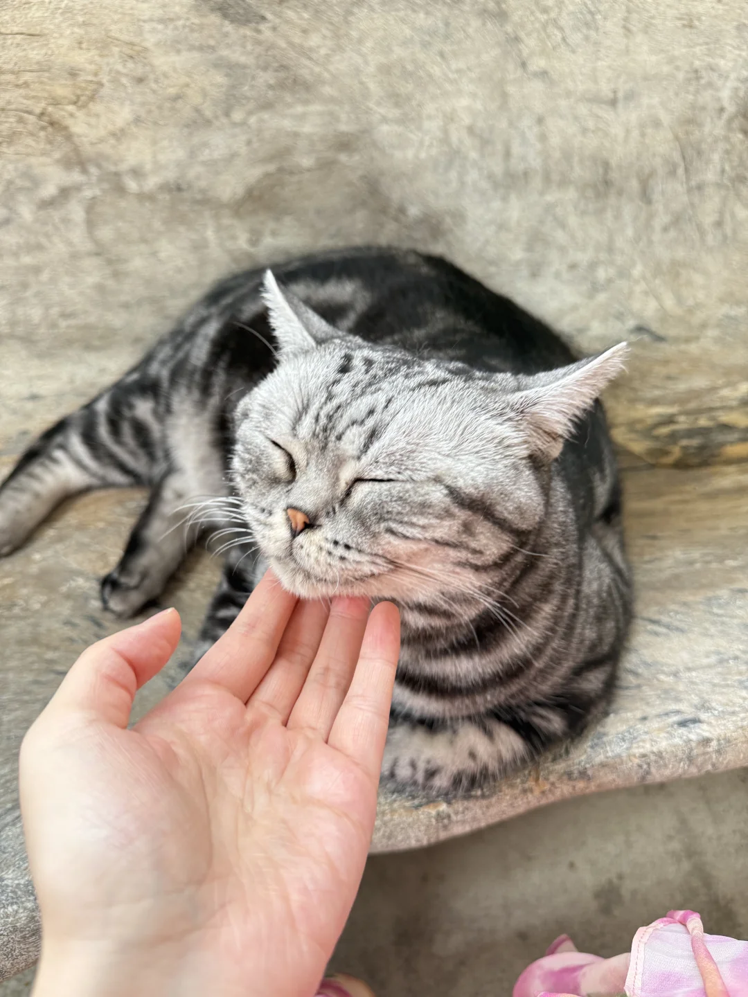 人一天怎么能拍这么多照