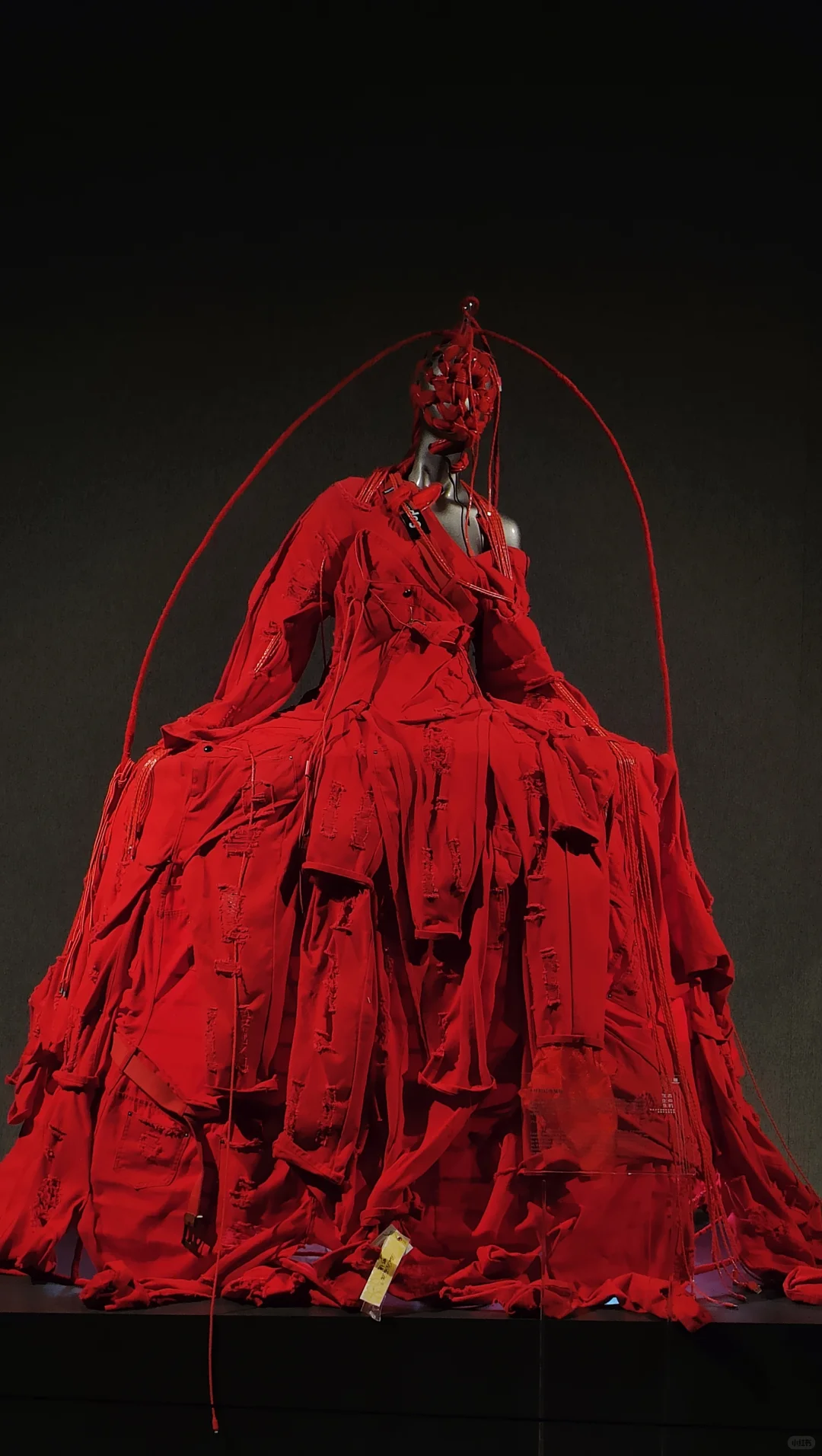 【生态·生命·生机】