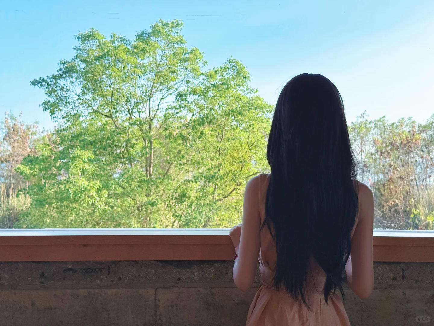 经济法考试结束后的那个下午