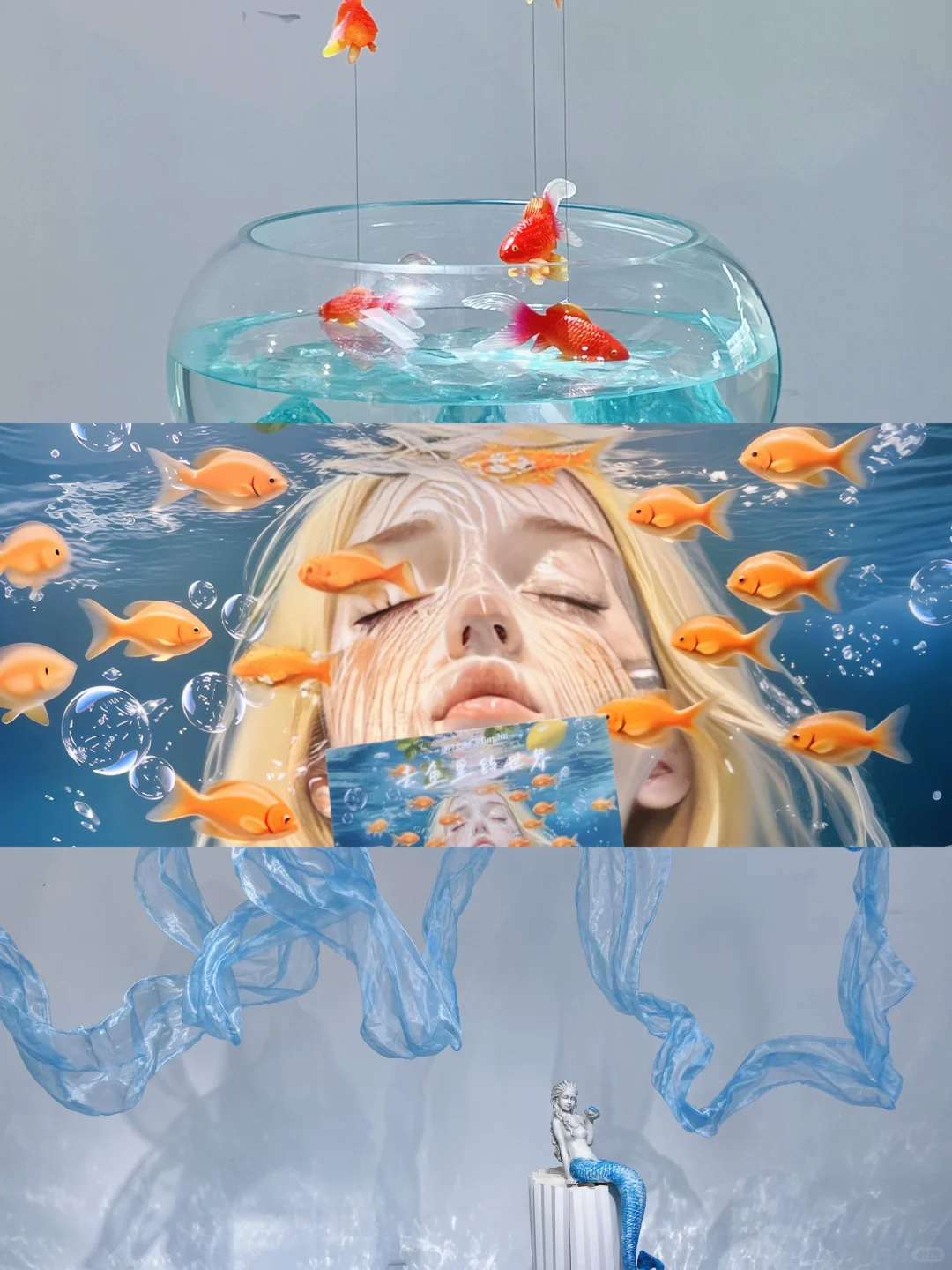 广州新展｜坠入金鱼梦境꙳⊹? ??