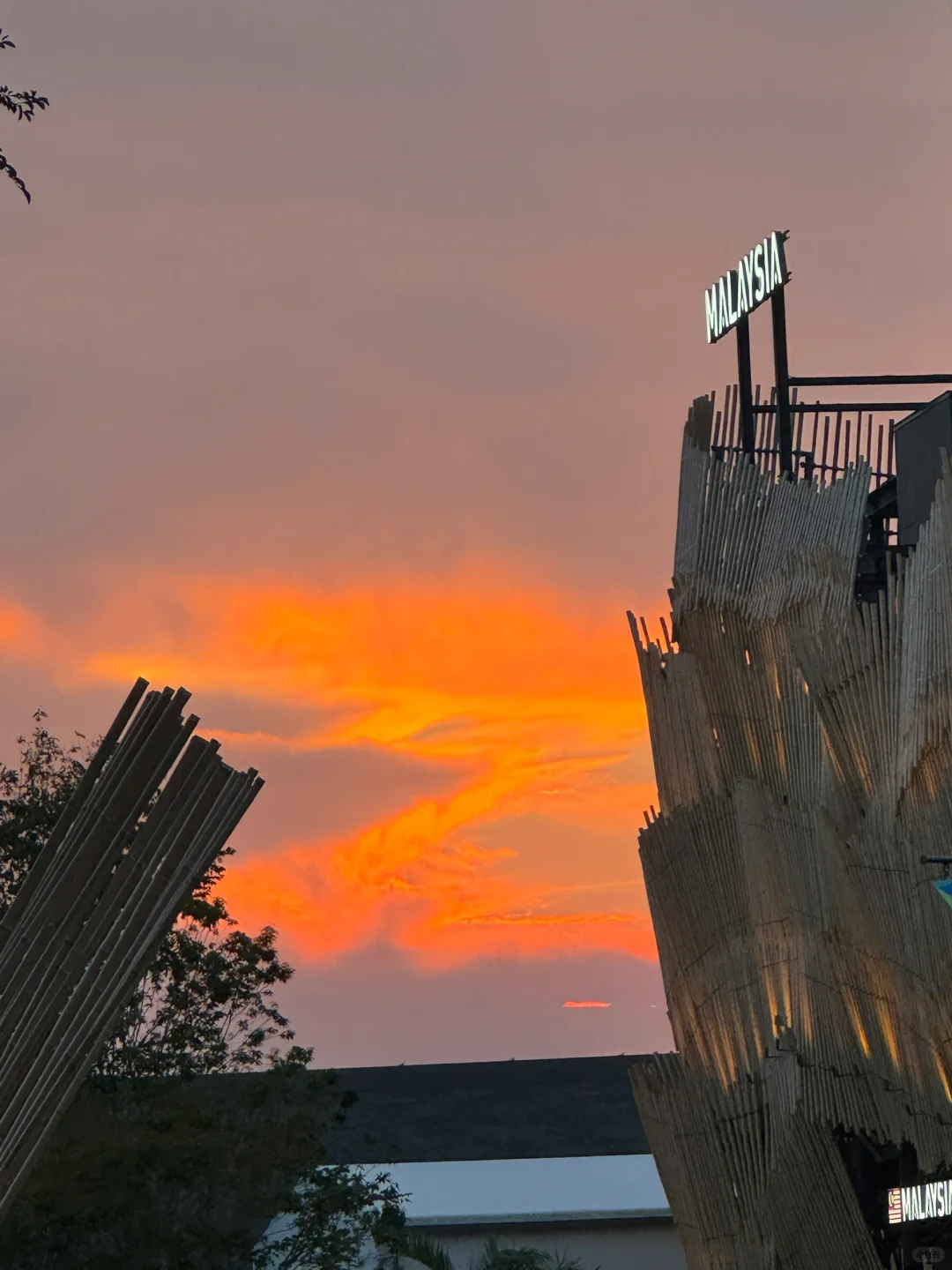 Day12?2025年世界博覽會