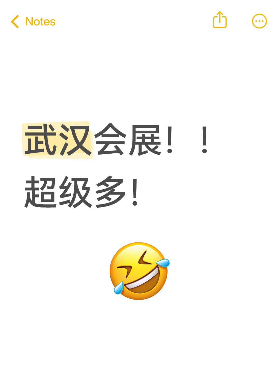 武汉会展！！8月-9月