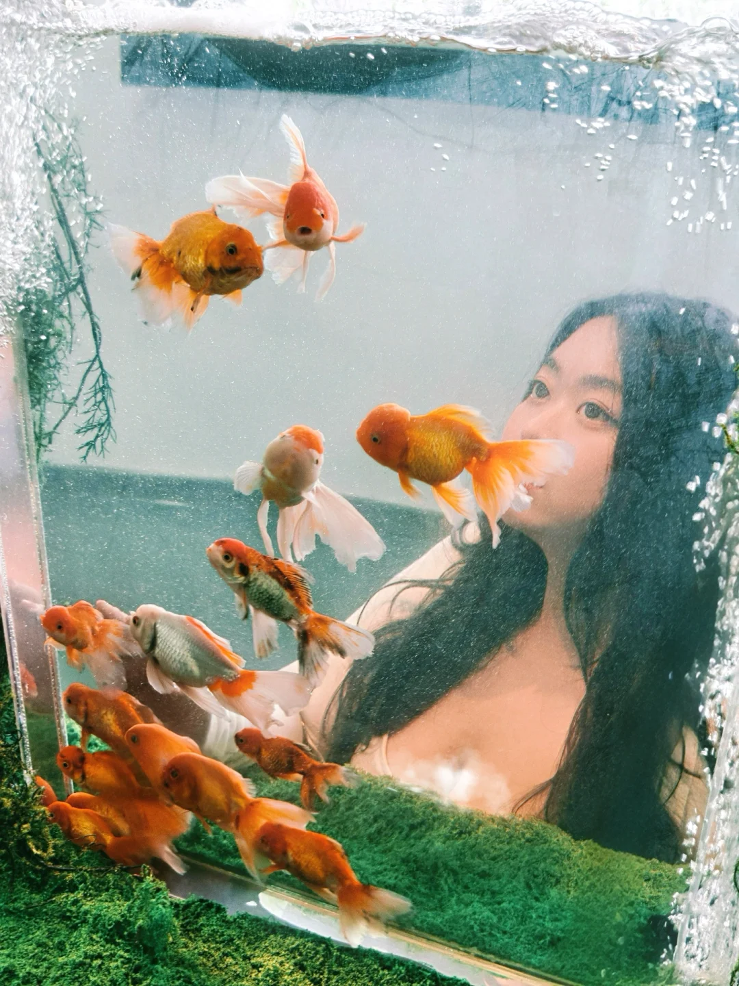 ?广州新展～好梦幻坠入鱼里的世界展? ༠°