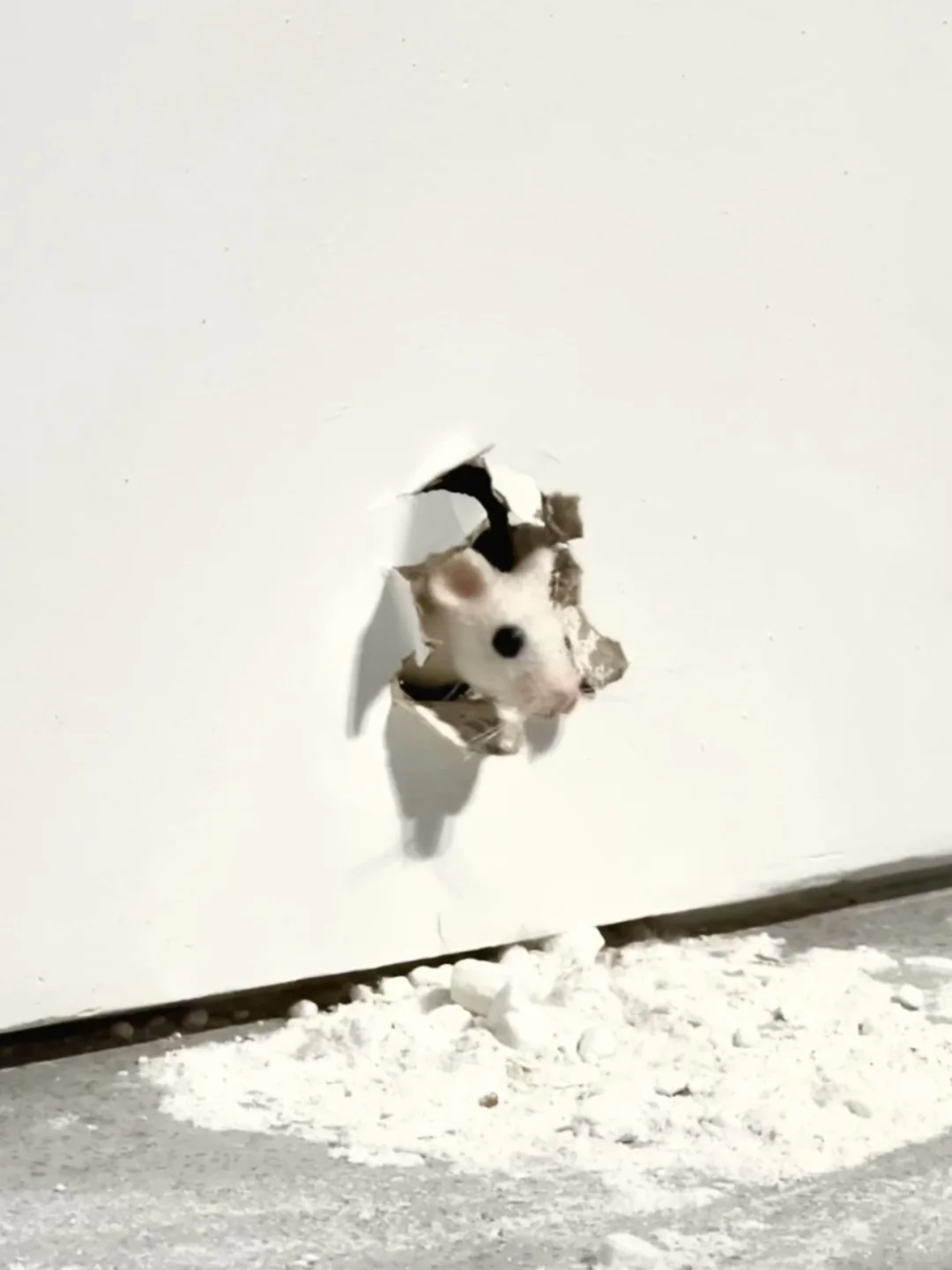 请一定选最后一场?⚪️