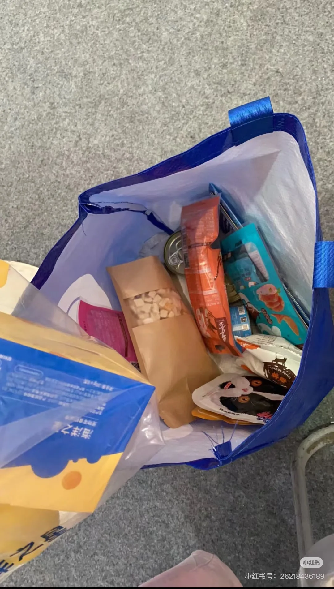 深圳铲屎官速进！20元畅玩3天深圳宠物展?