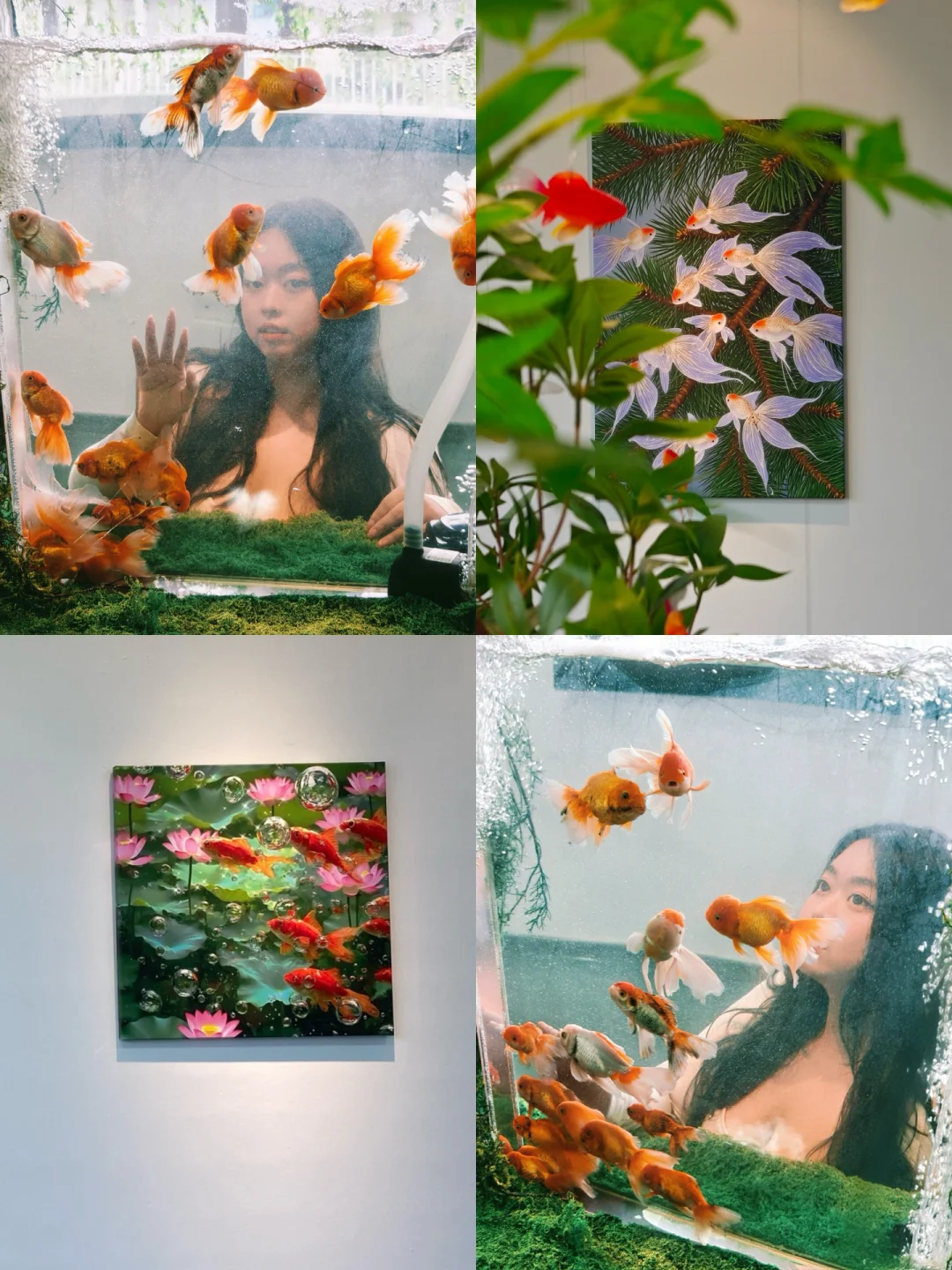 ?广州新展～好梦幻坠入鱼里的世界展? ༠°