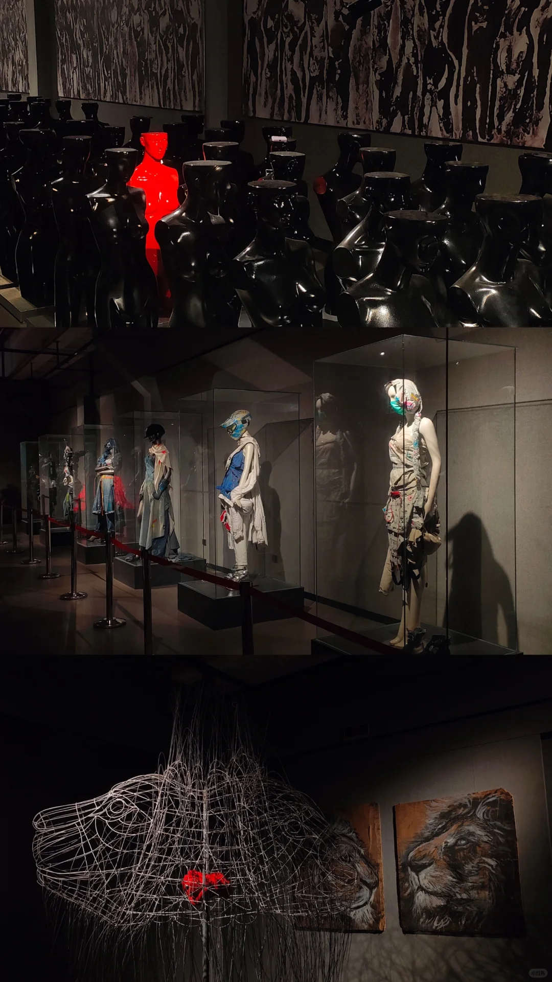 【生态·生命·生机】