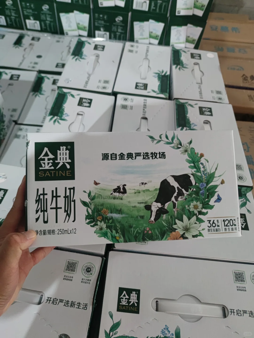 帮我支支招各位老板们！