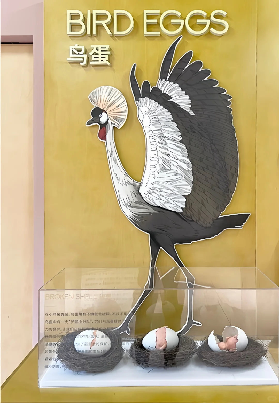 谁说展厅设计无聊啊，这展厅可太棒了?