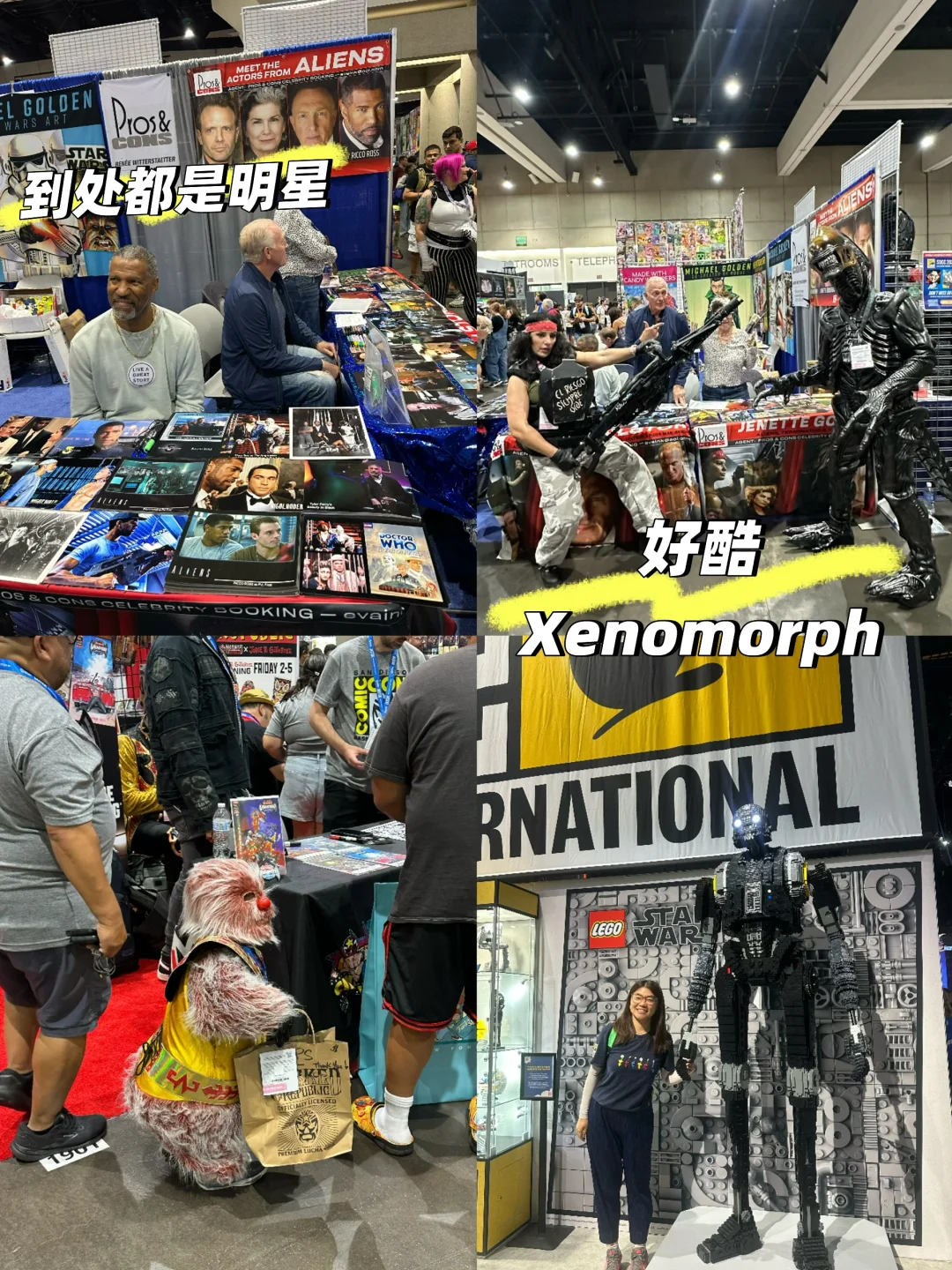 2025SD动漫展｜各种活动现场体验分享