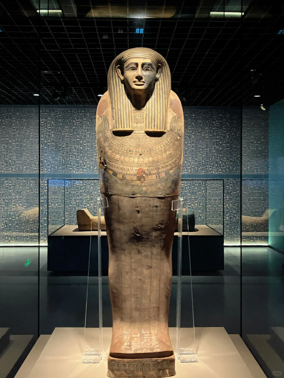 8千万博出7亿，上博古埃及展何以如此成功?️