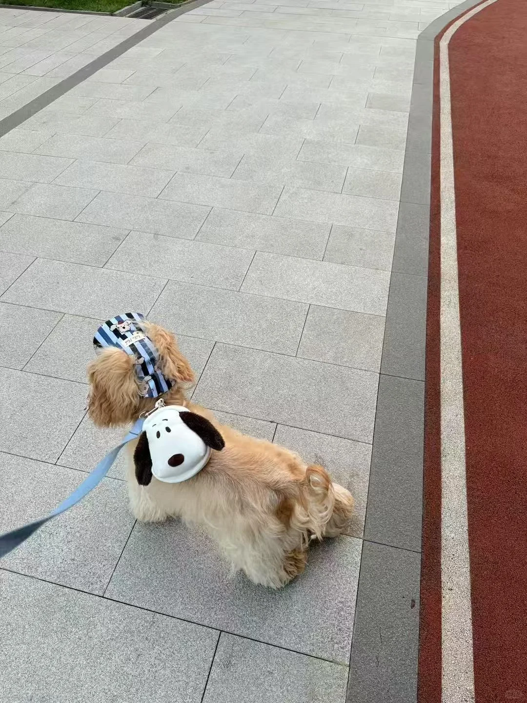 35岁被叫姐姐还是阿姨