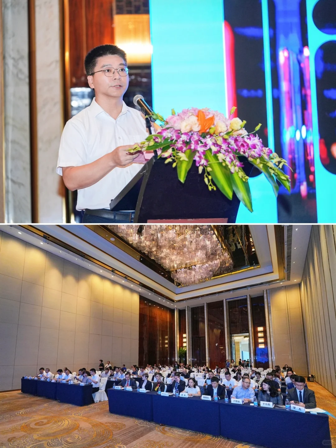 商务活动跟拍 德国北威洲推介会