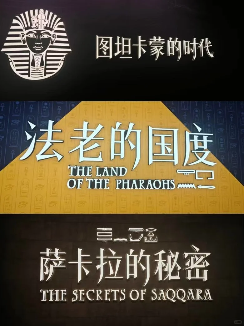上博埃及展倒计时⏳还没去的抓紧看过来啦