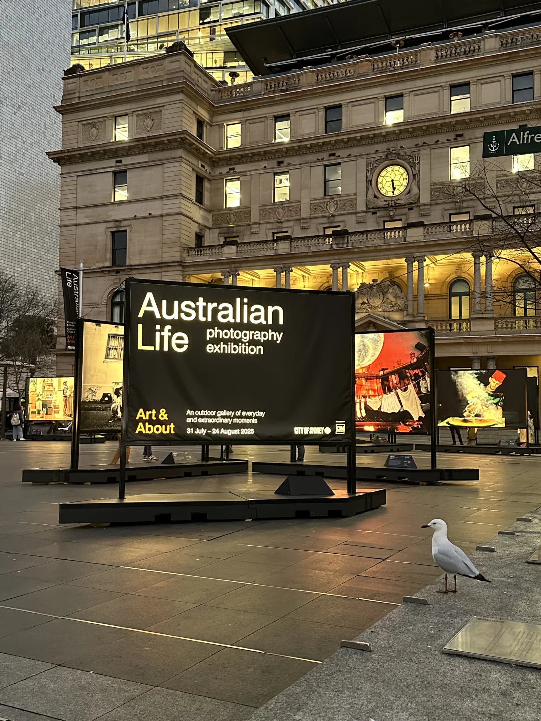 悉尼七月展览｜Australian Life Photography