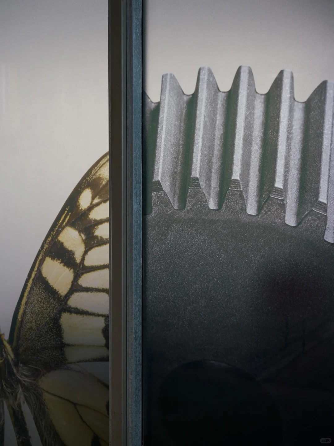 海报拍摄｜能量语境SGDA精选设计展