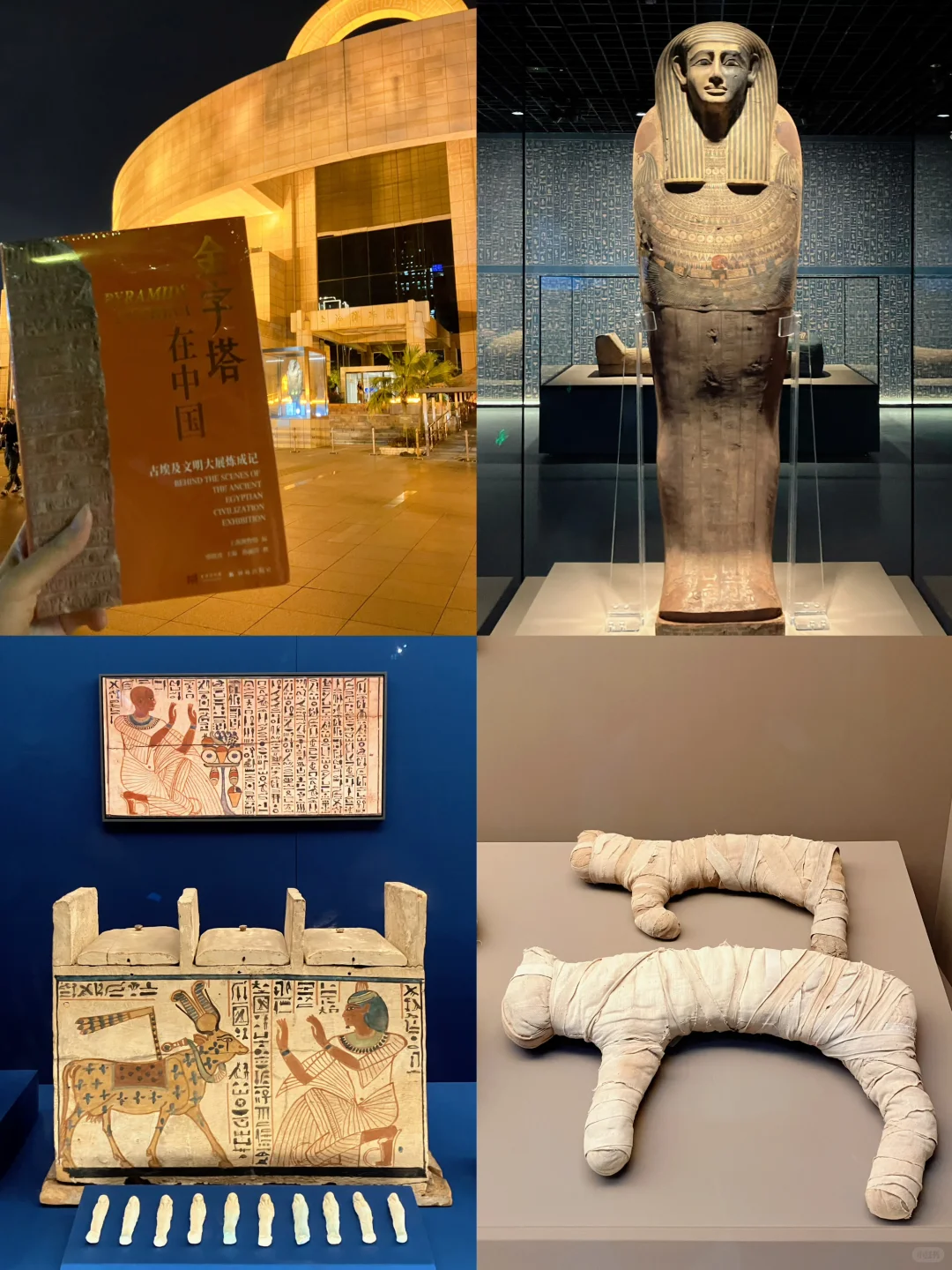 8千万博出7亿，上博古埃及展何以如此成功?️