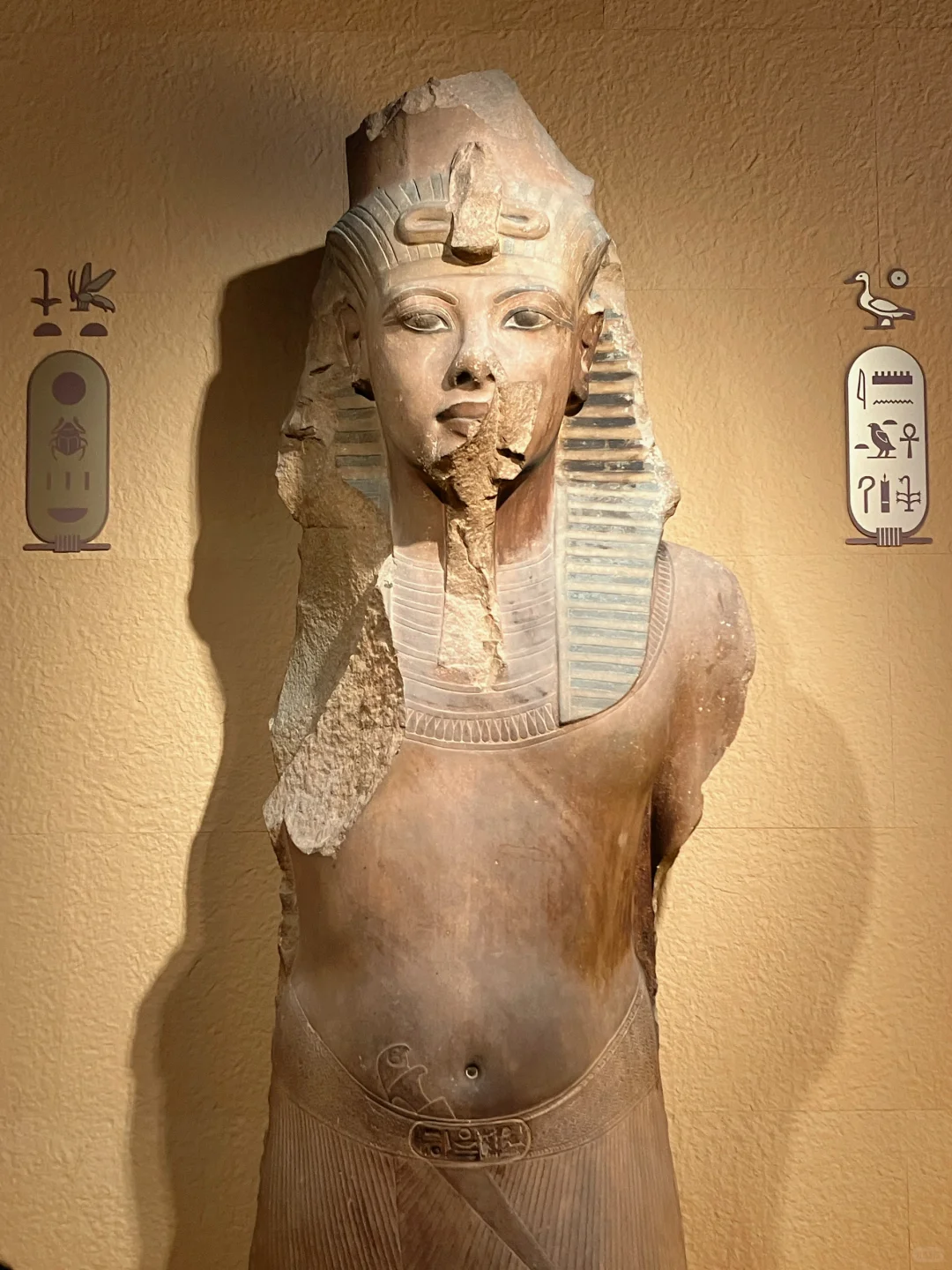 8千万博出7亿，上博古埃及展何以如此成功?️