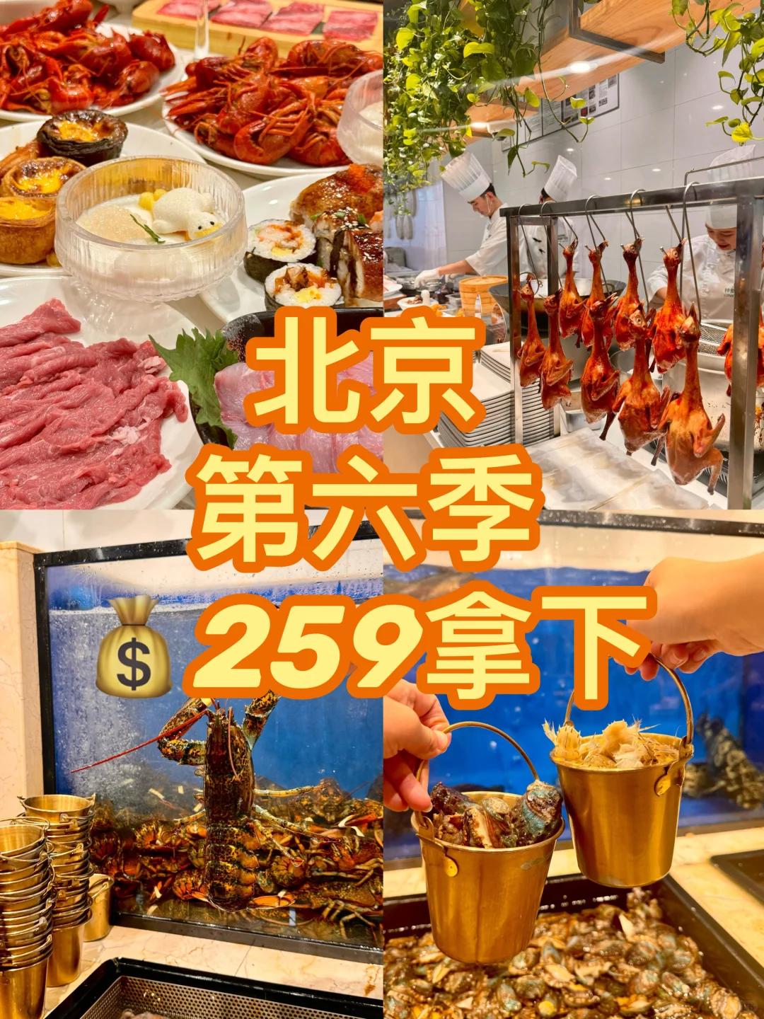 ? 北京第六季｜人均200+轻松拿下！！！