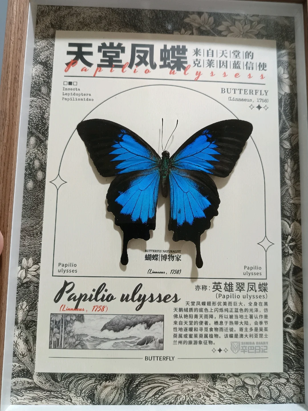 九月！广州见！