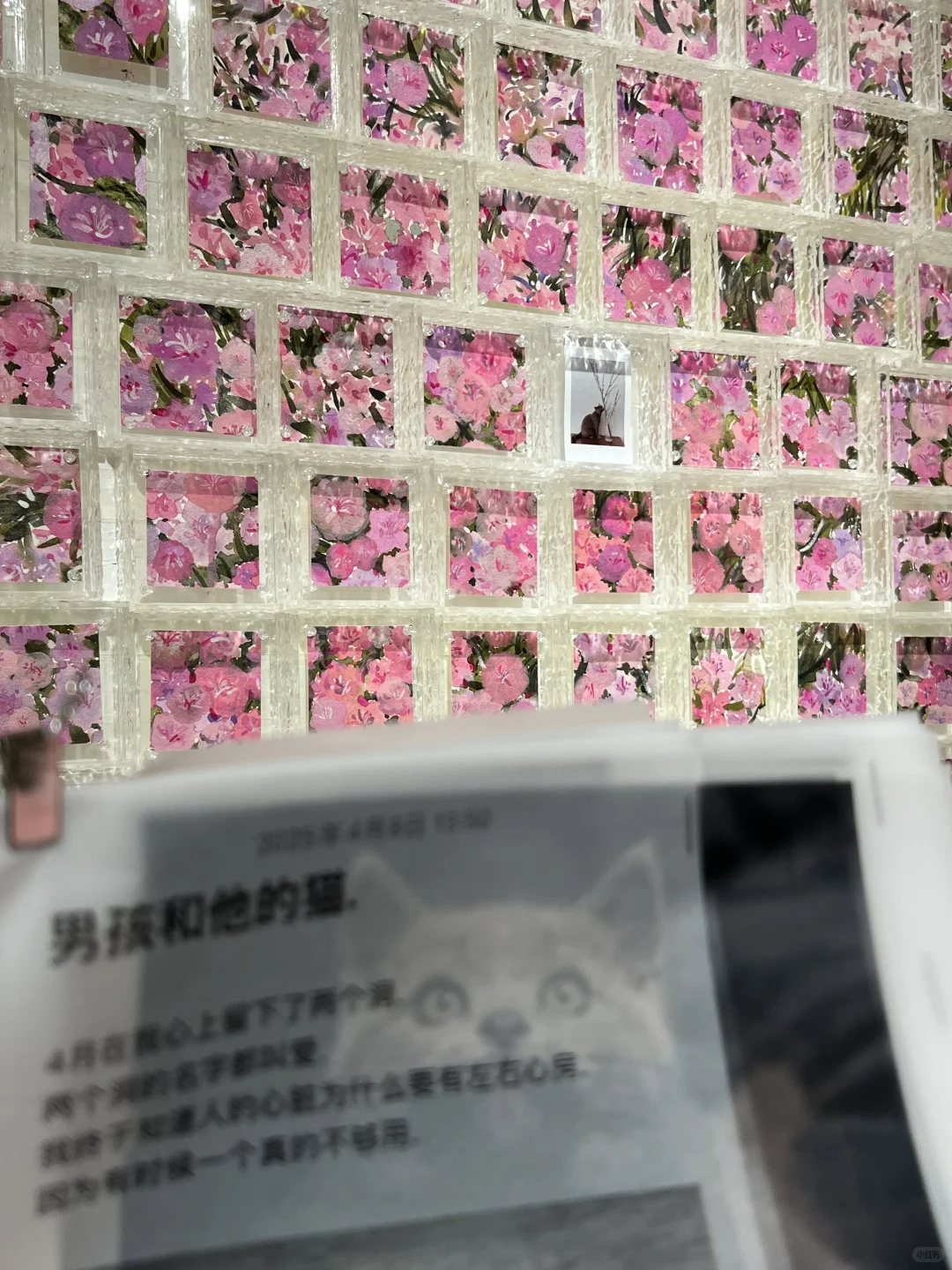 上海新展｜一场关于粉色的梦?