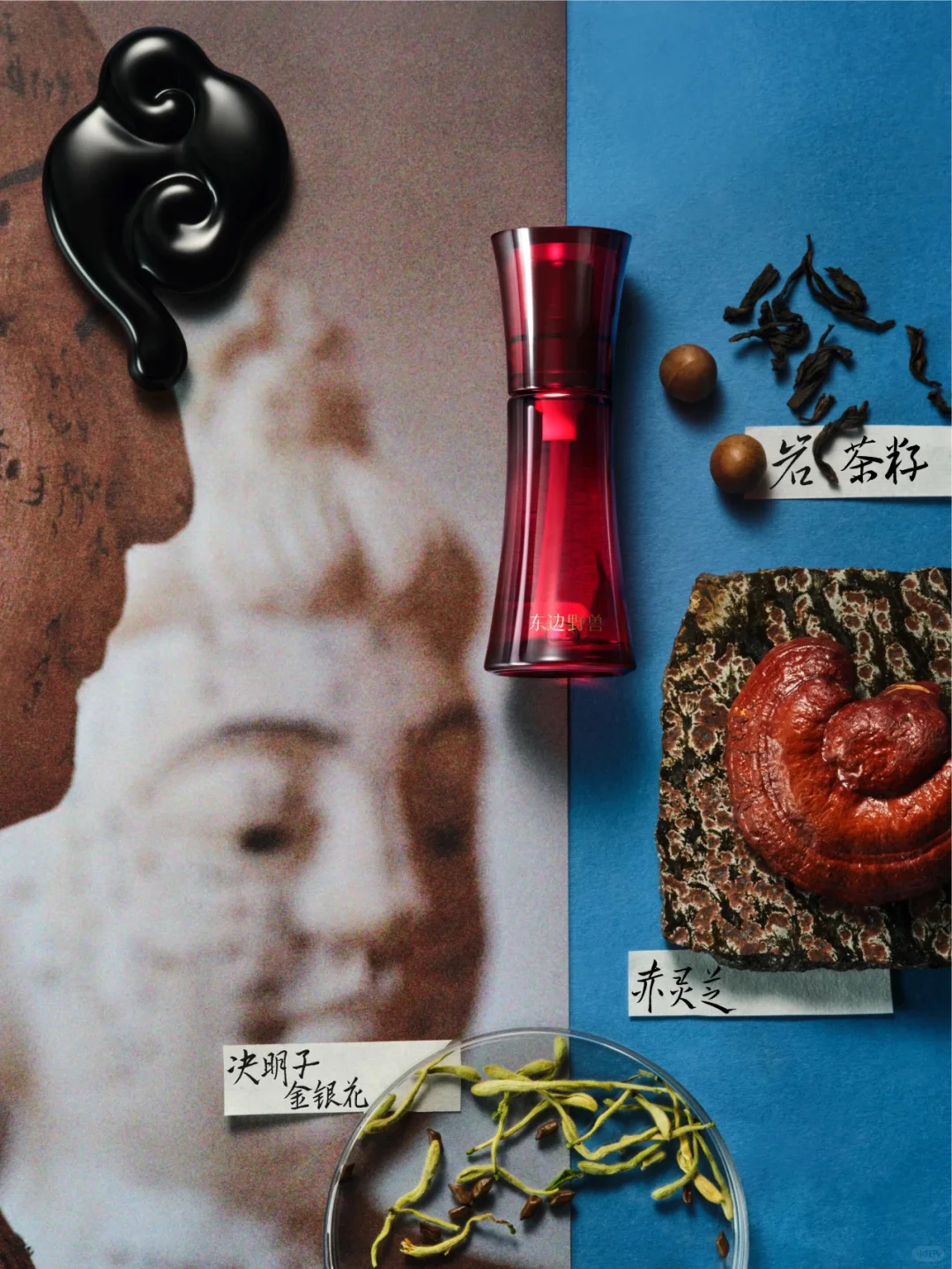 立即预约｜美护上海早鸟特惠倒计时?